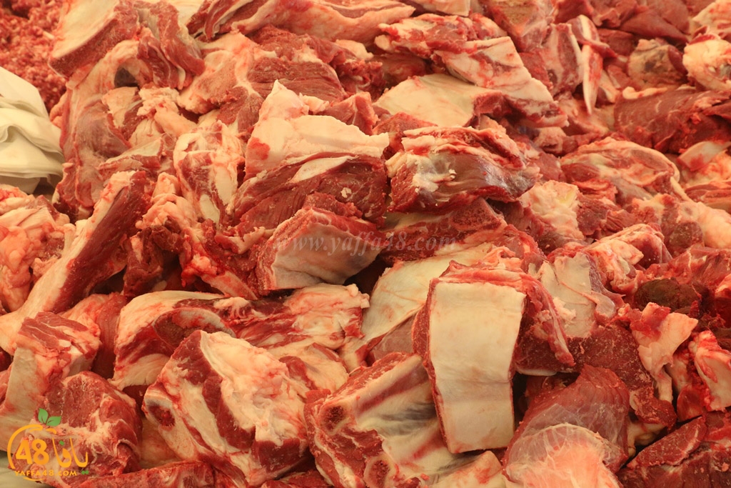 ada7y forthei (59).JPG